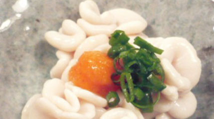 ձ20캣